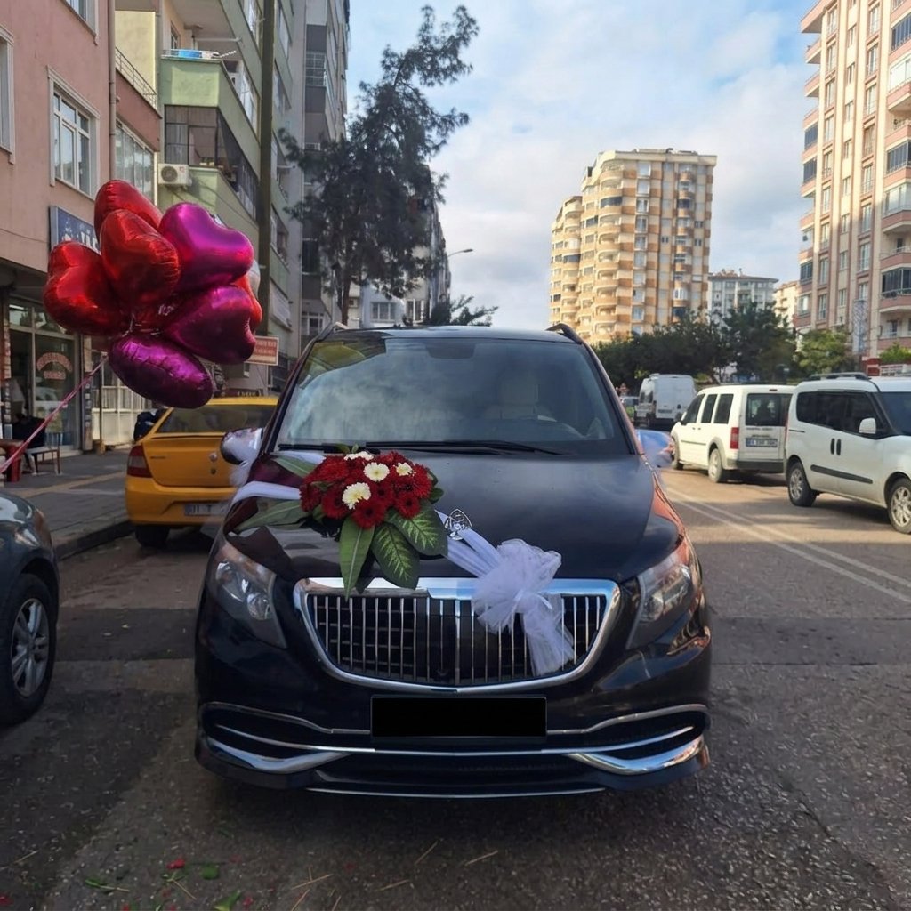 Vito VIP